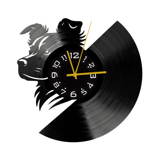 Vinyl sat - Pas